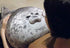 MerryXD Chubby Blob Seal Pillow, Cute Ocean Large Stuffed Cotton Plush Animal (23.6 in)
