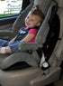 Seat Belt Button Cover - Prevents Children and Disabled Adults from Opening Seat Belts in Vehicles (Black)