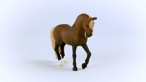 2023, 5+ Schleich Horses Horse Club for Girls and Boys Paso Peruano Stallion Horse Toy Figurine, Ages