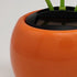 Apple Blossom Solar Dancing Flower Sunflower Toy, Car Swinging Decoration, Eco-Friendly Honey Bee Swing Toys.