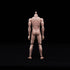 1:6 Scale Muscle Male Action Figure - 12 Inch Flexible Europe Skin Body Doll Miniature Figure Without Head Sculpt