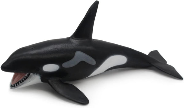 Solid Sea Animals Educational Toys, Simulation Ocean Shark Sea Creature Toy for Toddlers