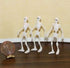 Multi Minis Set 3 Dollhouse Miniature of Skeletons