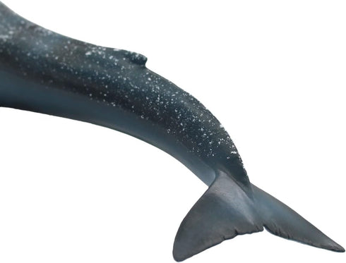 Solid Sea Animals Educational Toys - Simulation Ocean Shark Sea Creature Toy for Toddlers Kids (Blue Whale)