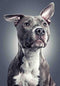 1000 Pieces Jigsaw Puzzles for Adults - Pit Bull Bulldog Classic Puzzle Game - Unique Gift Home Decor
