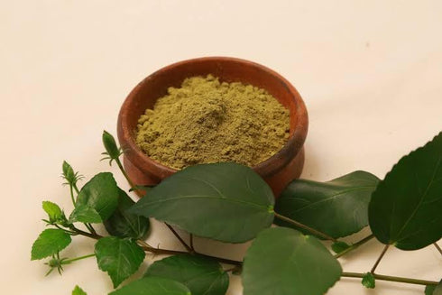 Generic Natural hibiscus leaf powder for hair mask, natural hair conditioner