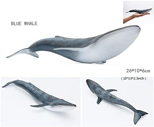 Solid Sea Animals Educational Toys - Simulation Ocean Shark Sea Creature Toy for Toddlers Kids (Blue Whale)