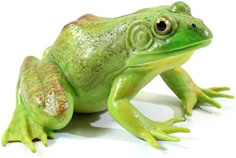 Gemini&Genius Tree Frog Toy Figure for Kids, Realistic Hand Painted Bullfrog Action Figure