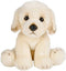 Adventure Planet 12" Heirloom Floppy Golden Retriever, InhouseDM-206, White