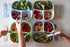 Re-Play Toddler Forks and Spoons, Pack of 8, 4 Kids Forks with Rounded Tips and 4 Deep Scoop Spoons