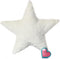 My Baby's Heartbeat Bear Recordable Stuffed Plush, 20 sec Voice Recorder for Ultrasounds and Sweet Messages, Perfect