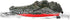 2 1 2.4Ghz PowerTRC in Remote Control Speed Boat Crocodile | RC Toy Speed Boat for Pools and Lakes | Rechargeable