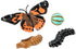 10 Insect Lore Two Cups of Live Caterpillars - Live Painted Lady Caterpillars with Food - Includes Bonus Butterfly Life