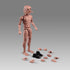 SOUFORCE 1/12 6in NT-02W Scale Wide Shoulder Male Action Figure Flexible Notaman Square Head Male Figure Body Doll