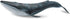 Solid Sea Animals Educational Toys - Simulation Ocean Shark Sea Creature Toy for Toddlers Kids (Blue Whale)