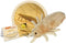 Giant Microbes Louse Plush – Fun Educational Gift for Family, Friends, Doctors, Nurses, Insect Lovers