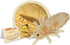 Giant Microbes Louse Plush – Fun Educational Gift for Family, Friends, Doctors, Nurses, Insect Lovers