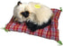 Simulation Lovely Cat Doll - Cute Sleeping Plush Cats on Mat, Great Gift for Decorations