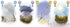 Petrichor Game