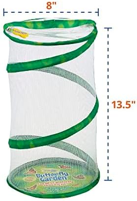Insect Lore Butterfly Garden Gift Set, 8" Habitat with Live Cup of Caterpillars, Life Science & STEM Education Kit