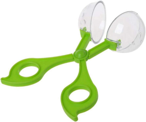 Green Catcher Plastic Outdoor Clamp with Tweezer for Insect Bug Scissors, Gifts for Sports and Outdoor Play