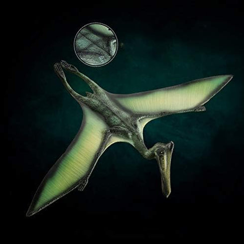 Gemini&Genius 3pcs Pterodactyl Action Figures, Realistic Flying Dinosaur Pteranodon Dino Toys Cake Toppers Set for Kids