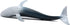 Solid Sea Animals Educational Toys - Simulation Ocean Shark Sea Creature Toy for Toddlers Kids (Blue Whale)