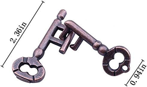 Metal Hole Lock Brain Teaser Puzzle for Adults - Jigsaw IQ Puzzle Educational Toy (Ferrous)