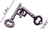 Metal Hole Lock Brain Teaser Puzzle for Adults - Jigsaw IQ Puzzle Educational Toy (Ferrous)