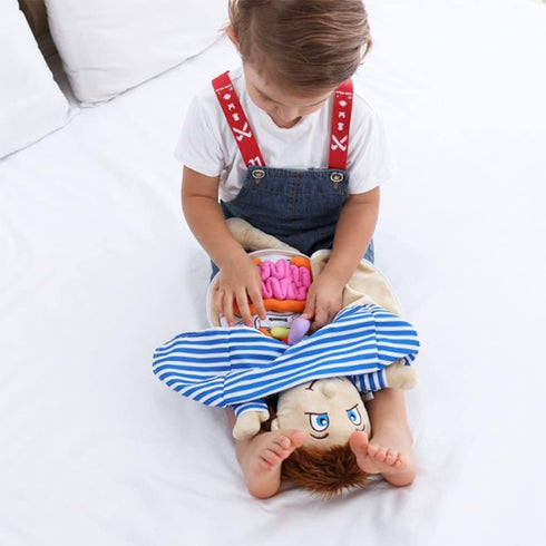 vocheer Human Body Anatomy Toy, Montessori Preschool Educational Organ Plush Toys for Kids, Science Learning Kits