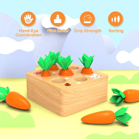 Montessori Toys for 1 Year Old, Wooden Developmental Shape Sorting & Matching Puzzle Carrots Harvest Game for Toddlers