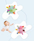 Inchant Baby Balls Soft Plush Rattle Comforter Toy for Kids, Infant Early Educational Plush Tag Baby Ball