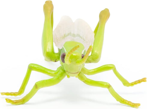 Papo Hand-Painted Wild Animal Kingdom Grasshopper Figurine 50268, Collectible for Children 3+