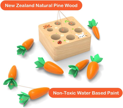 Montessori Toys for 1 Year Old, Wooden Developmental Shape Sorting & Matching Puzzle Carrots Harvest Game for Toddlers