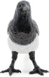 Papo 50286 Magpie Figurine - Multicolor Collectible