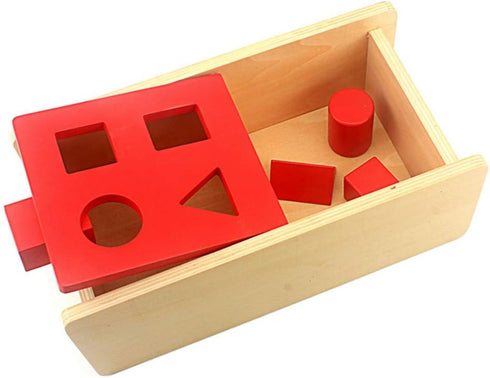 DANNI Montessori Baby Imbucare Box with Flip Lid, 4 Shapes Wood Learning Educational Toy for Children