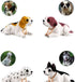 BESPORTBLE Car Decorations Playset with Bobbleheads Puppy Figurine, Shaking Head Dog Auto Interior Decor for Vehicle