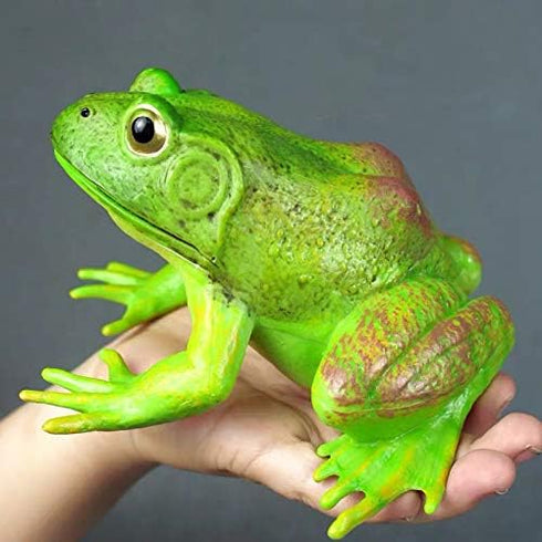 Gemini&Genius Tree Frog Toy Figure for Kids, Realistic Hand Painted Bullfrog Action Figure