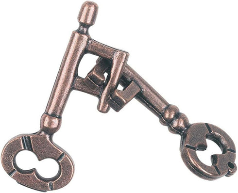 Sujosa 2 Sets Pair of Metal Brain Teaser Puzzle Keys, Assembly & Disentanglement Puzzles, IQ Logical Games, Fidget