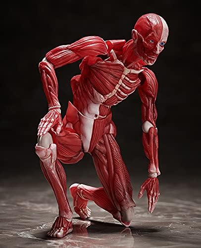 FREEing Human Anatomical Model Figma Action Figure, Multicolor