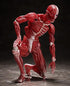 FREEing Human Anatomical Model Figma Action Figure, Multicolor