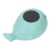 Dan&Dre 3 Baby Bath Thermometer with LED Display, Cartoon Shape, Blue Whale Design, Premium Material with Color Water