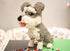 Dog Schnauzer Micro Building Blocks Set (2817PCS) - Gift for Kids and Adults