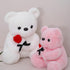 12 Inch Teddy Bear Stuffed Animal with Rose, Soft Cuddly Plush Bear, Gifts for Kids, Baby Shower