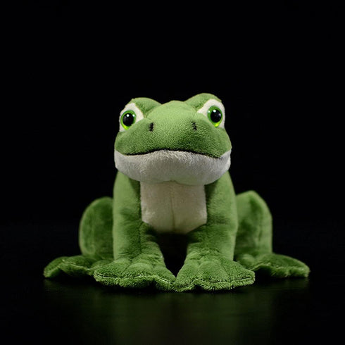 Nohito Kawaii Realistic Frog Plush Toy, 6.2" Green Frog Stuffed Animal, Lifelike Pillow Toys