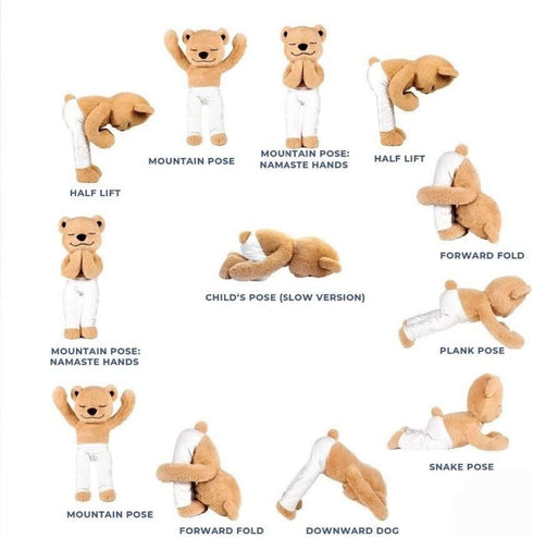 Meddy Teddy The Yoga Bear