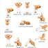 Meddy Teddy The Yoga Bear
