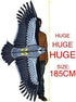 HENGDA KITE Strong Eagles! Huge 74-Inch Beginner Eagle Kites for Kids and Adults