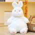 ARELUX 22in Large Bunny Plush Stuffed Animal Hugging Pillow - Soft Giant Fluffy Pillow for Friends Dormitory
