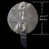 Clear Balloons Large, 10 Pcs Wide Neck Pre-Stretched Big Giant Transparent Bubble Balloons for Stuffing